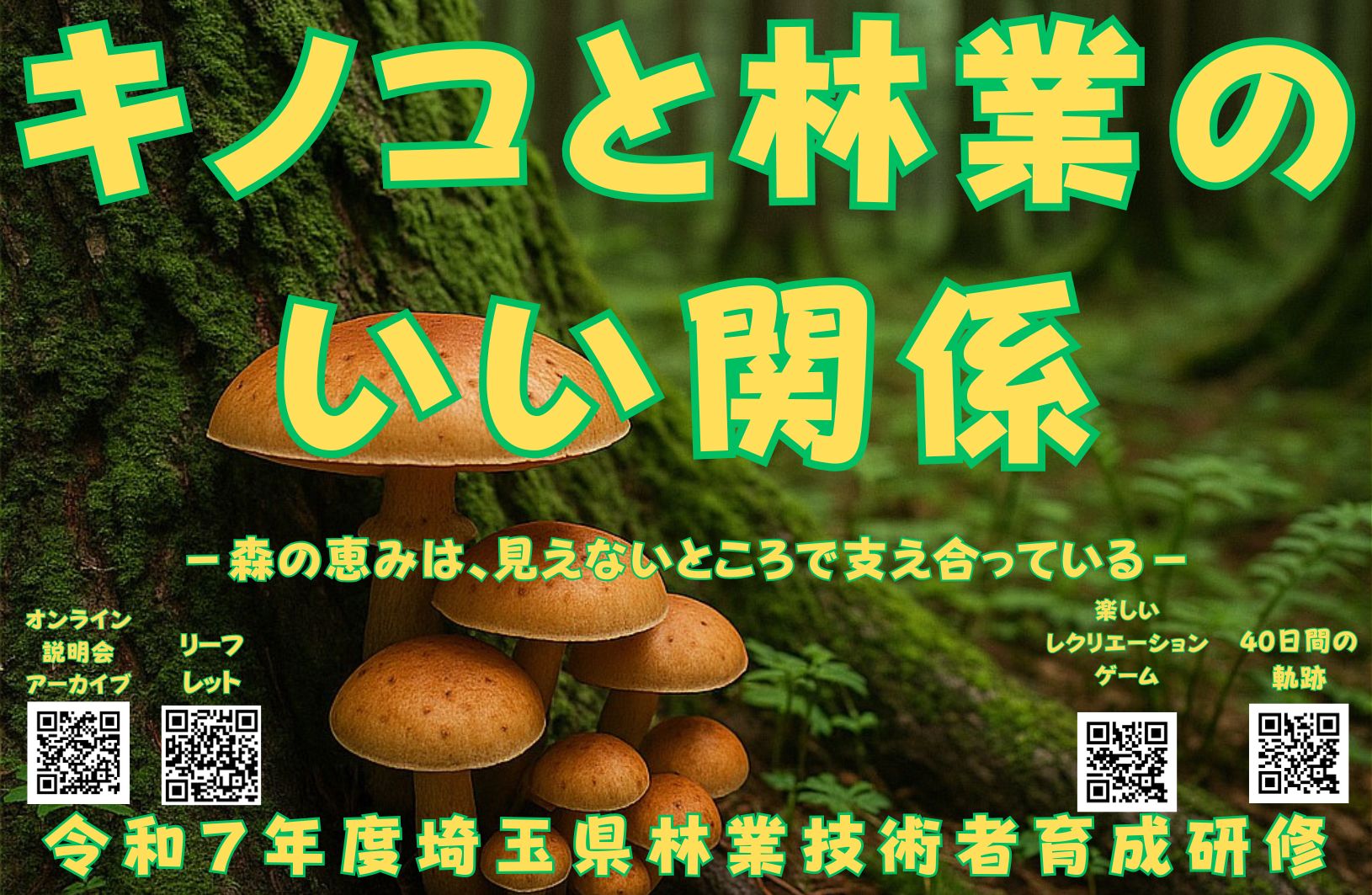 キノコと林業の関係とは？｜森の恵みと共生のしくみを学ぼう