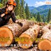 木の価値を見極めるため太さや曲がりの異なる丸太を観察するFOREST COLLEGEの彩ちゃん