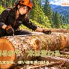 採材を考えながら長さや曲がりや節を確認して丸太を観察するFOREST COLLEGEの彩ちゃん