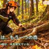 木の根の広がりを観察する彩ちゃん。杉の大木の根元から横に伸びる根と、森林土壌を調べる自然観察の風景。