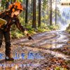 雨上がりの山で作業道の排水と路面の変化を観察する彩ちゃん。森の仕事人による森林管理と安全確認の風景。