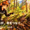 苔むした倒木の上に、新しい命を見つける彩ちゃん