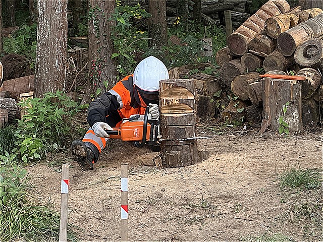チェーンソーで伐倒方向を意識した下切りの練習