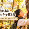 木の日に子どもが2本の木に触れ、樹皮のざらざら・すべすべなど木の違いを手で感じている様子